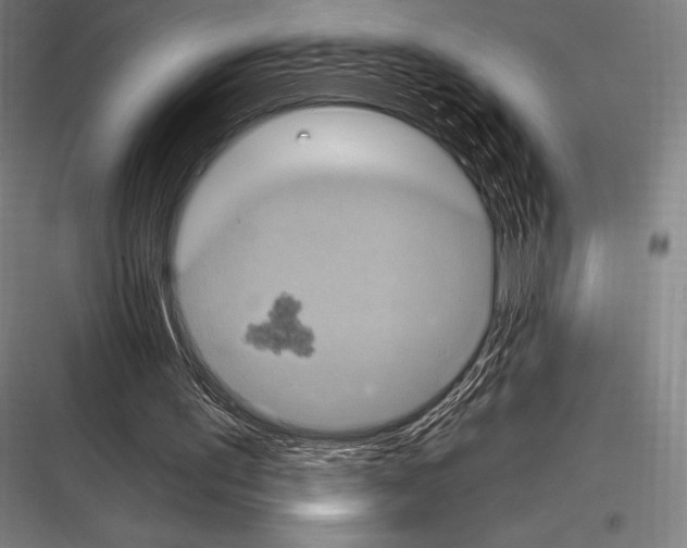 X0000116780195201001281221