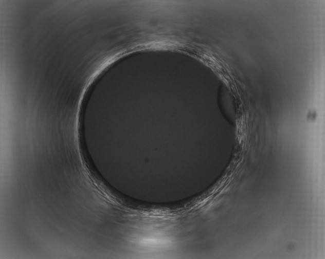 X0000116780196201001281221