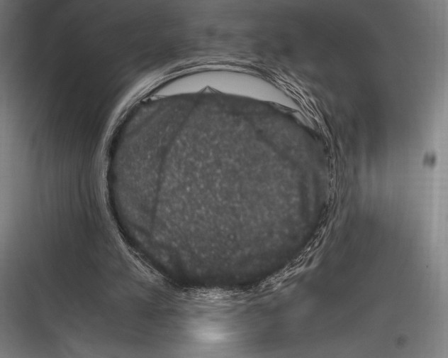 X0000116780197201001281221