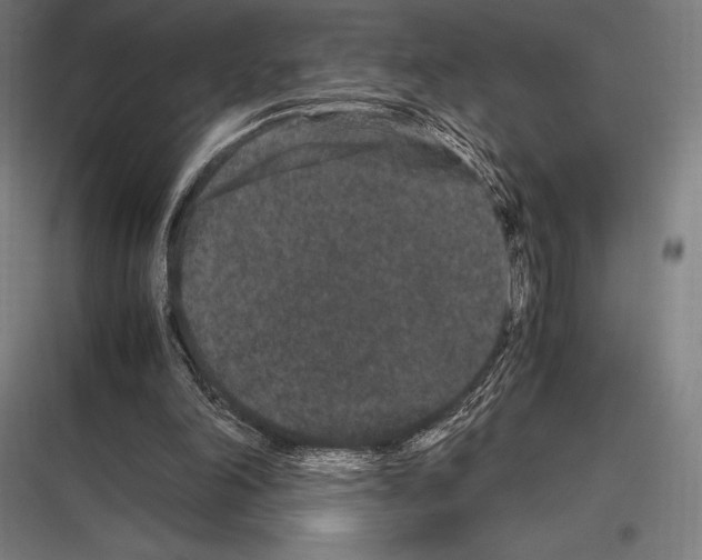 X0000116780198201001281221