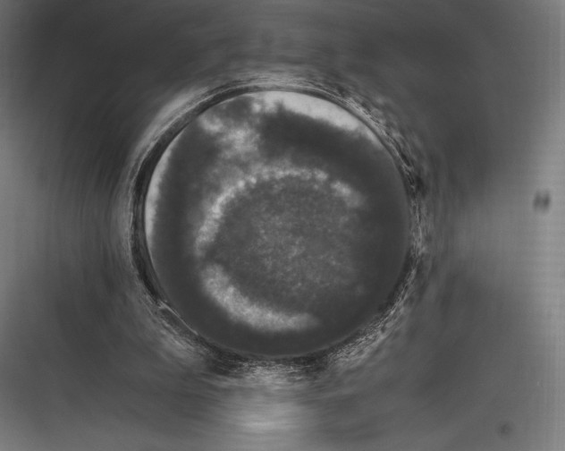 X0000116780199201001281221