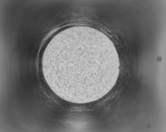 X0000116780200201001281221