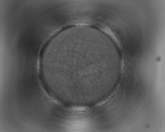 X0000116780202201001281221