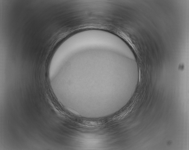 X0000116780205201001281221