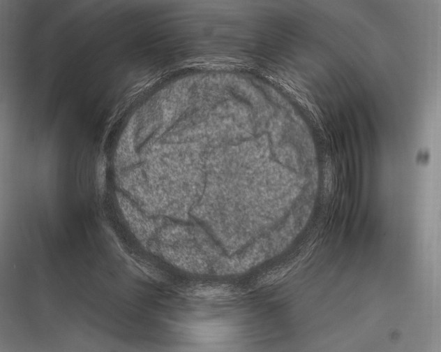 X0000116780206201001281221