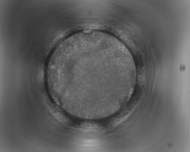 X0000116780207201001281221