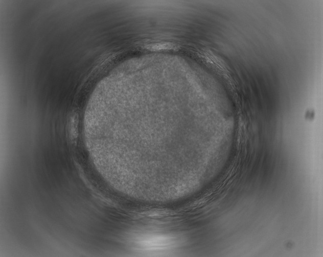 X0000116780210201001281221