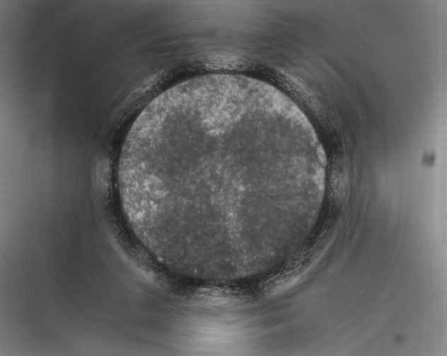 X0000116780211201001281221