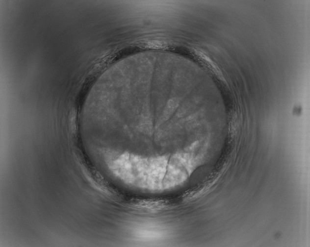 X0000116780213201001281221