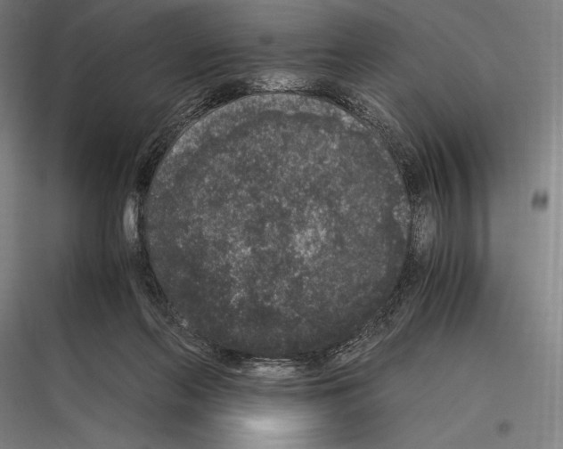 X0000116780214201001281221