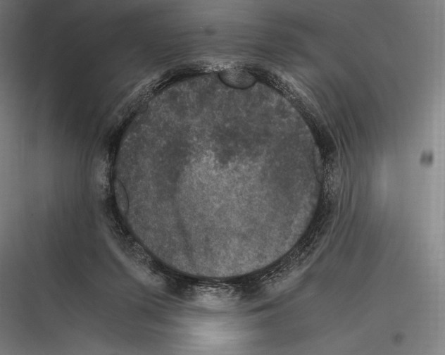 X0000116780215201001281221