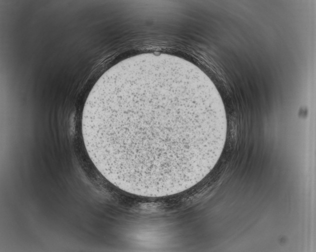 X0000116780216201001281221