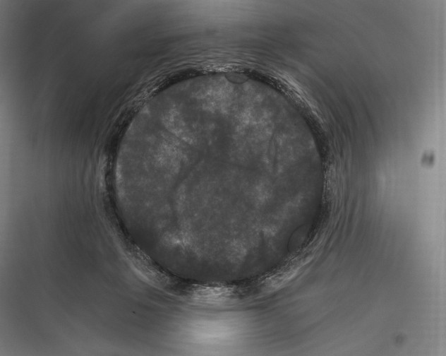 X0000116780217201001281221