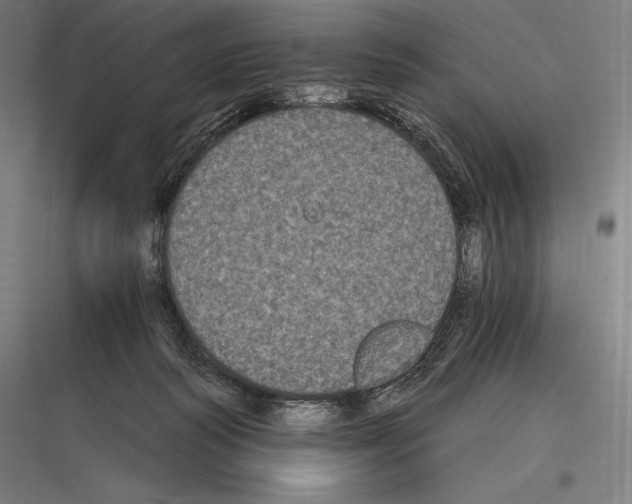 X0000116780218201001281221