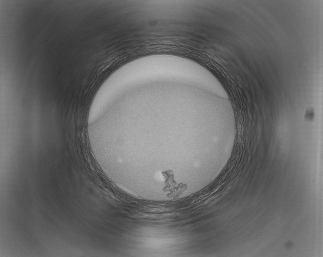 X0000116780219201001281221