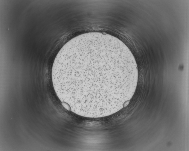 X0000116780220201001281221