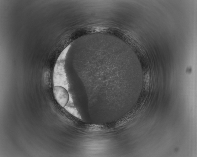 X0000116780222201001281221