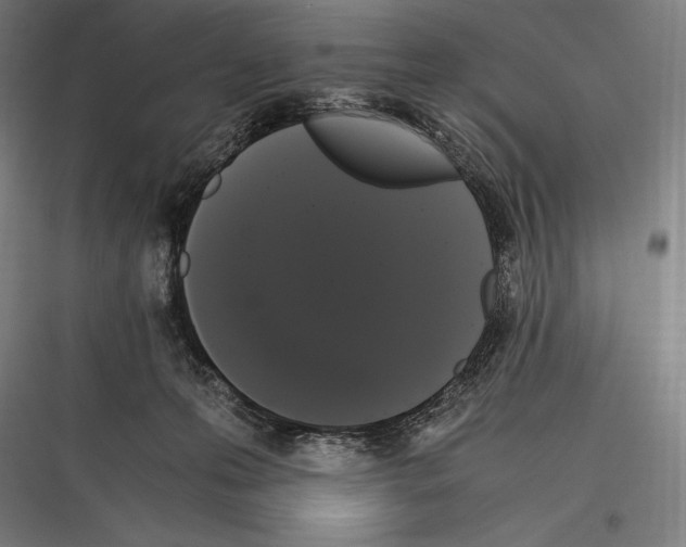 X0000116780223201001281221