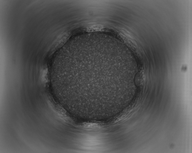 X0000116780224201001281221