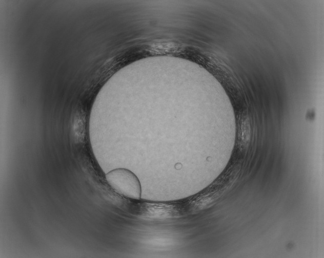 X0000116780226201001281221