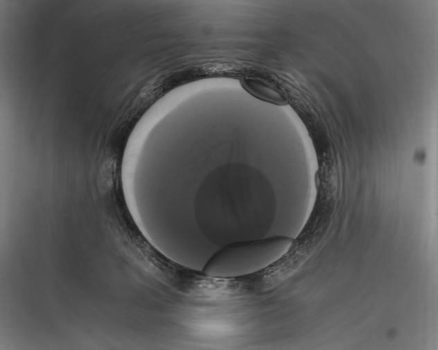 X0000116780227201001281221