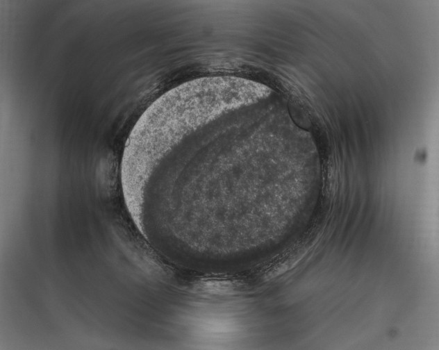 X0000116780228201001281221