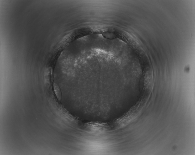 X0000116780229201001281221