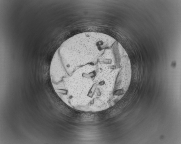 X0000116780230201001281221