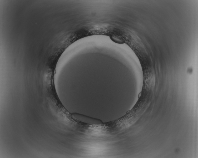 X0000116780231201001281221