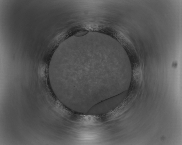 X0000116780233201001281221