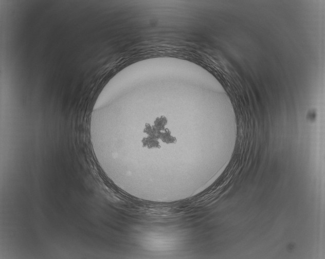 X0000116780235201001281221