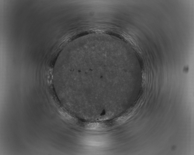 X0000116780237201001281221