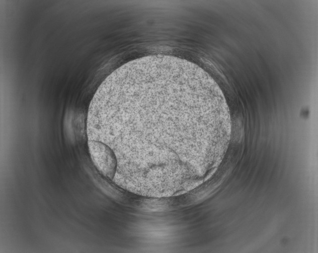 X0000116780238201001281221