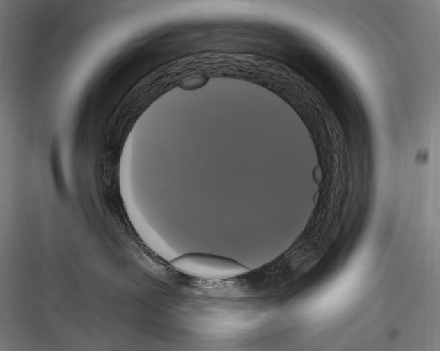 X0000116780239201001281221