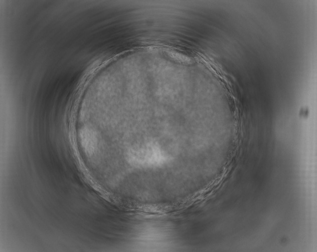 X0000116780241201001281220