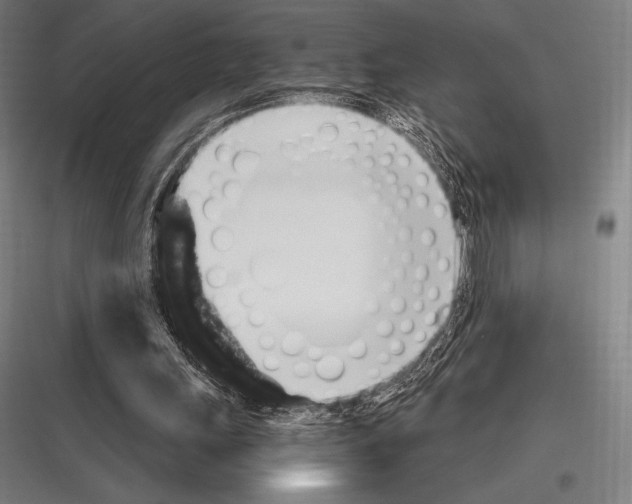 X0000116780243201001281220