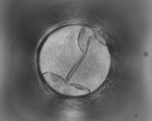 X0000116780244201001281220