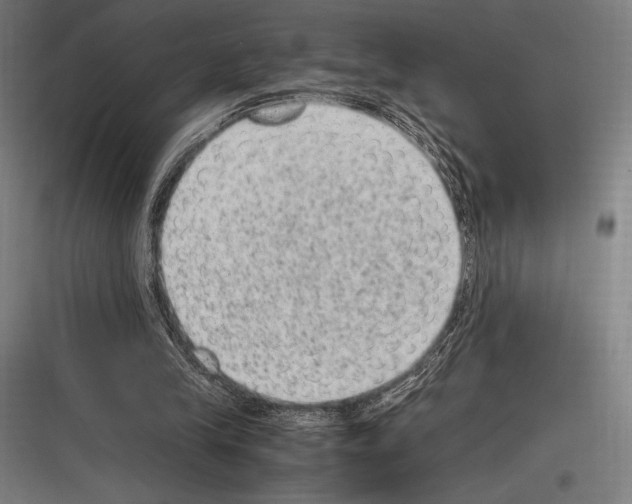 X0000116780245201001281220