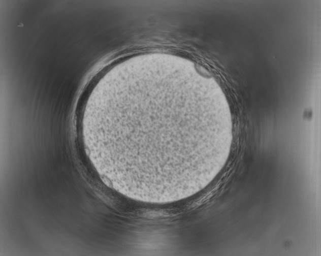 X0000116780246201001281220