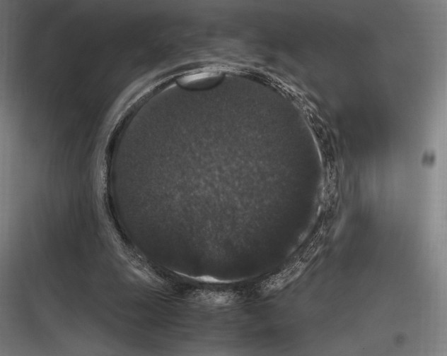 X0000116780247201001281220