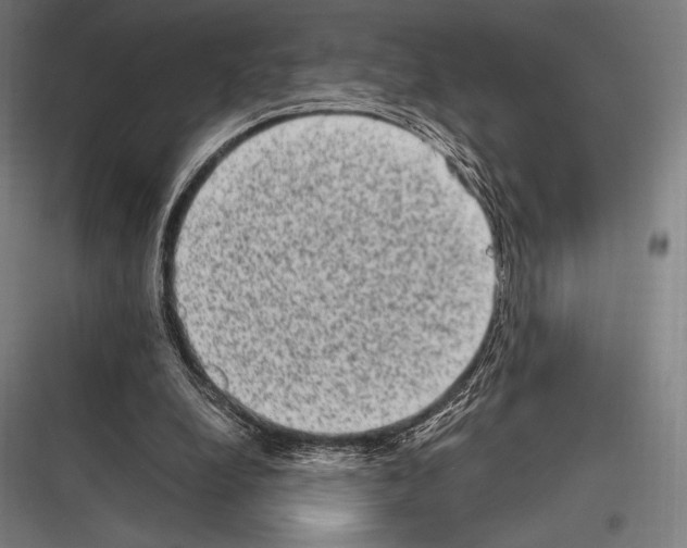 X0000116780248201001281220