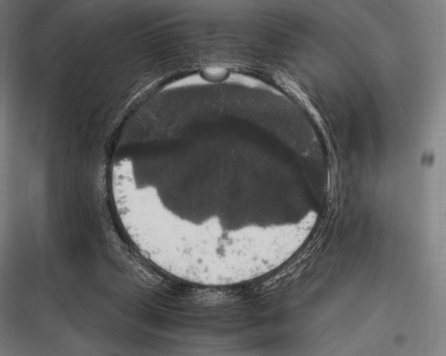 X0000116780249201001281220