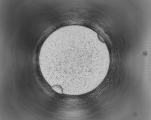 X0000116780250201001281220