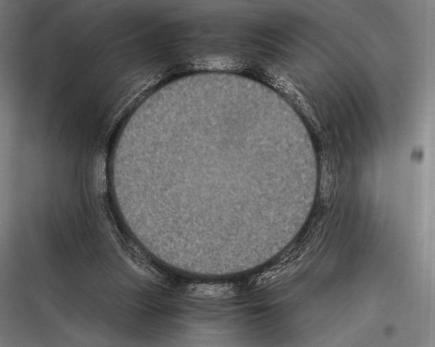 X0000116780251201001281220