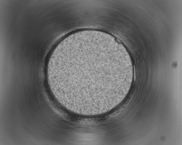 X0000116780252201001281220