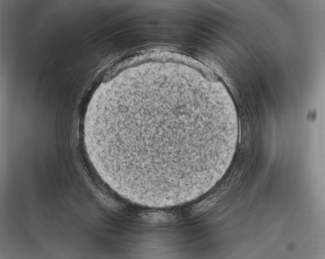 X0000116780253201001281220