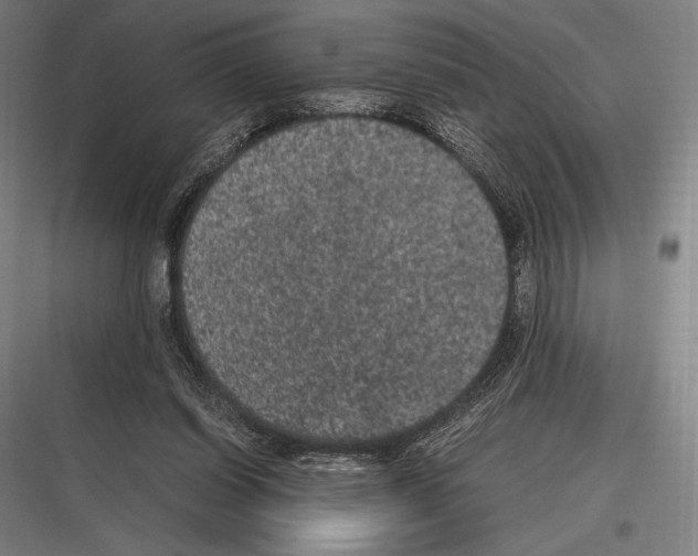 X0000116780254201001281220