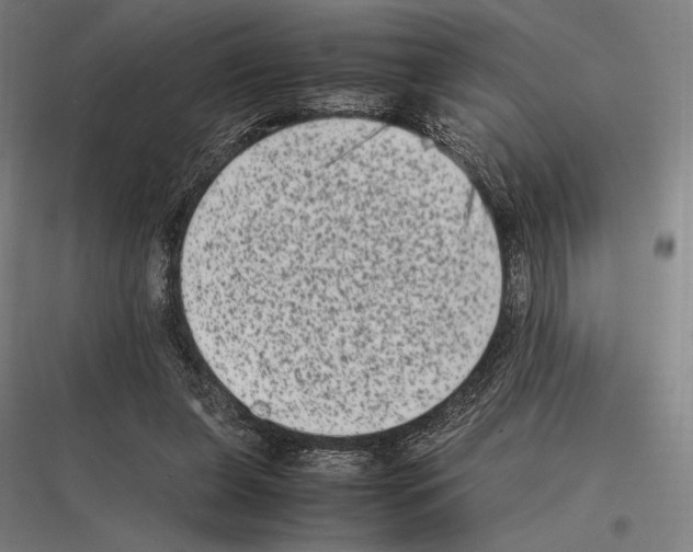 X0000116780255201001281220