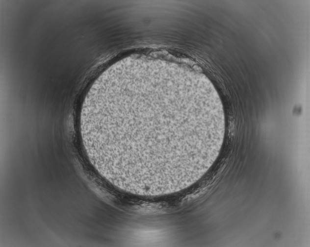 X0000116780256201001281220