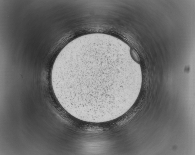 X0000116780258201001281220